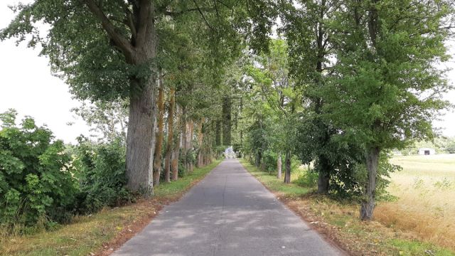 Działka budowlana Piecki. Zdjęcie 5