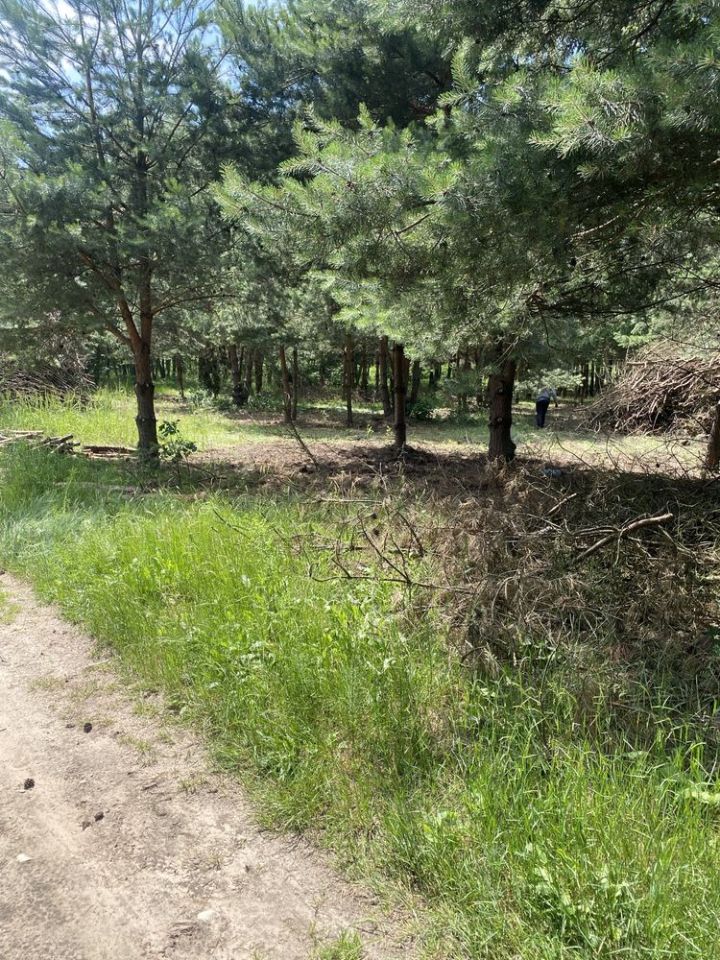 Działka Księża Wólka. Zdjęcie 5