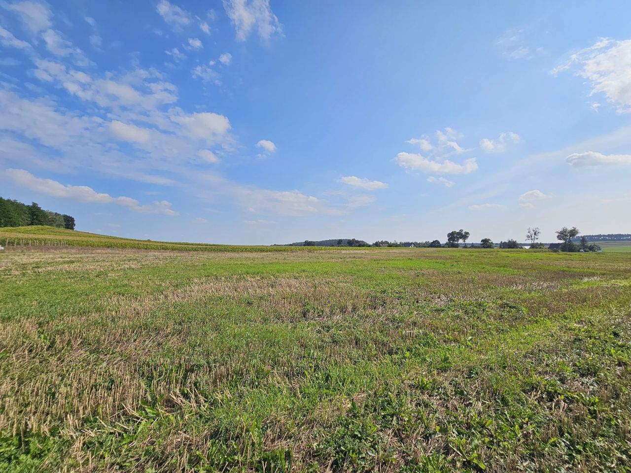 Działka rolno-budowlana Smogorzewo. Zdjęcie 4