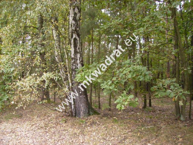 Działka budowlana Marynin. Zdjęcie 4