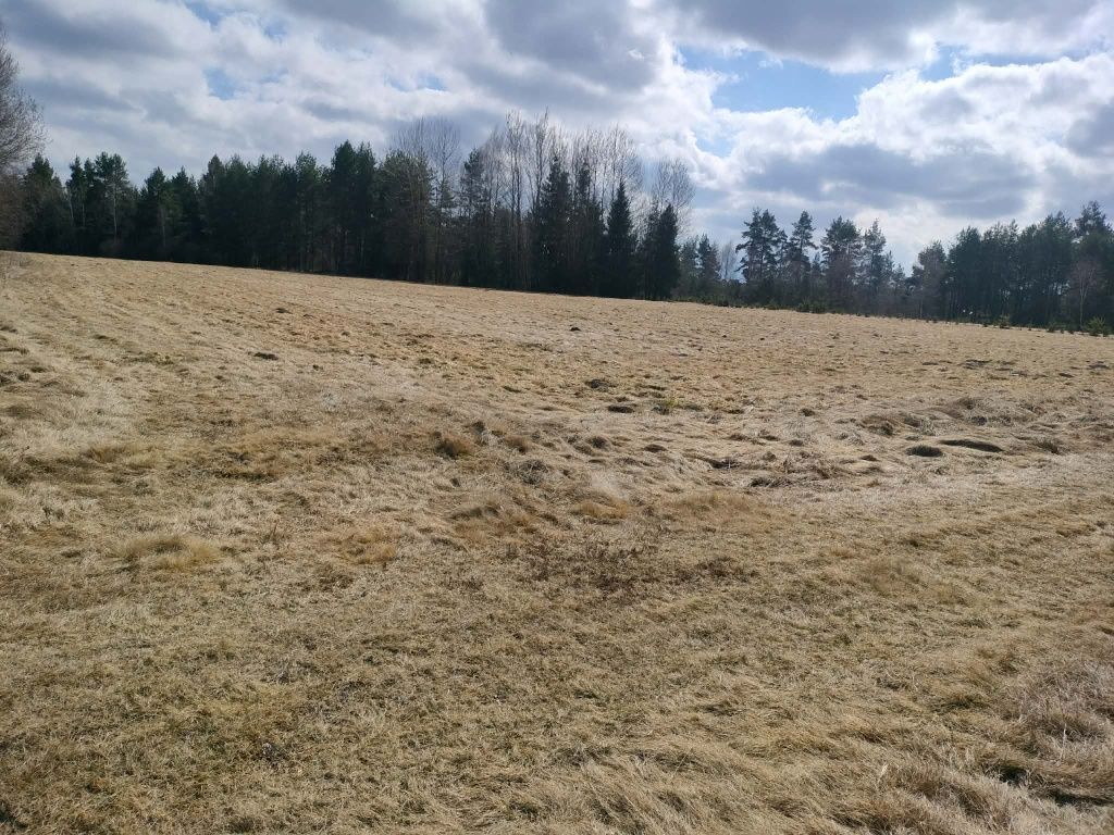 Działka rolna Jabłonka. Zdjęcie 3