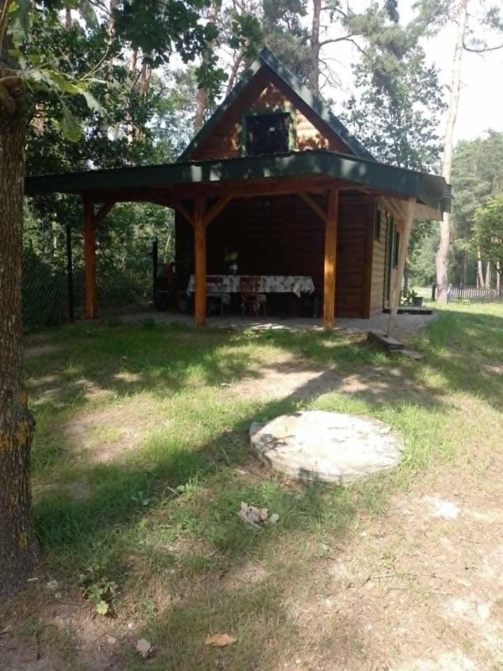 Działka leśna Pościsze. Zdjęcie 3