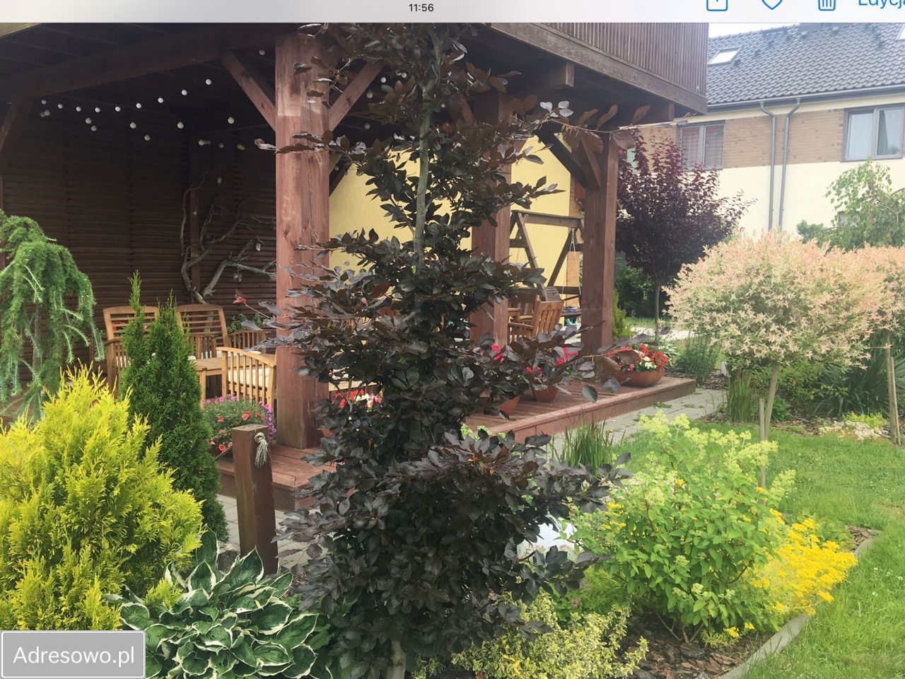 Hotel/pensjonat Rowy, ul. Bosmańska. Zdjęcie 3