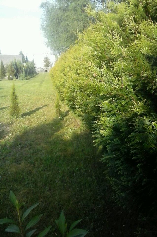 Działka budowlana Gorzów Wielkopolski Wieprzyce, ul. Dolna. Zdjęcie 6