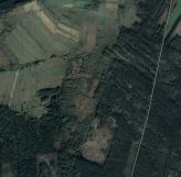 Działka leśna Mękarzów. Zdjęcie 1