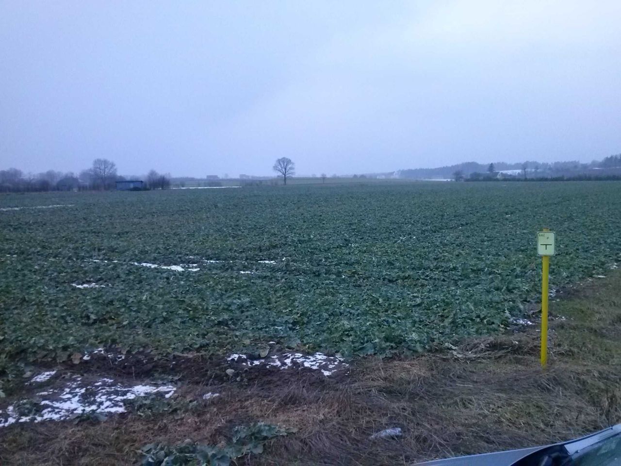 Działka siedliskowa Perlino, ul. Dworska