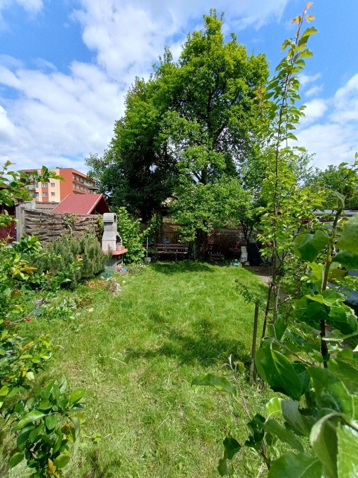 Działka rod Będzin Grodziec. Zdjęcie 8