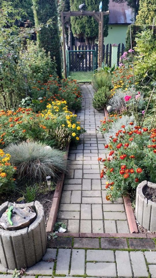 Działka rod Balice, ul. Sportowa. Zdjęcie 3