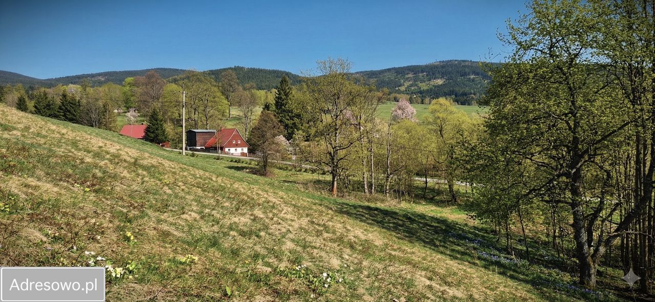 Działka budowlana Jodłów. Zdjęcie 9