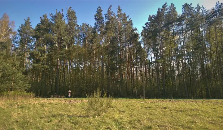 Działka inwestycyjna Budzistowo