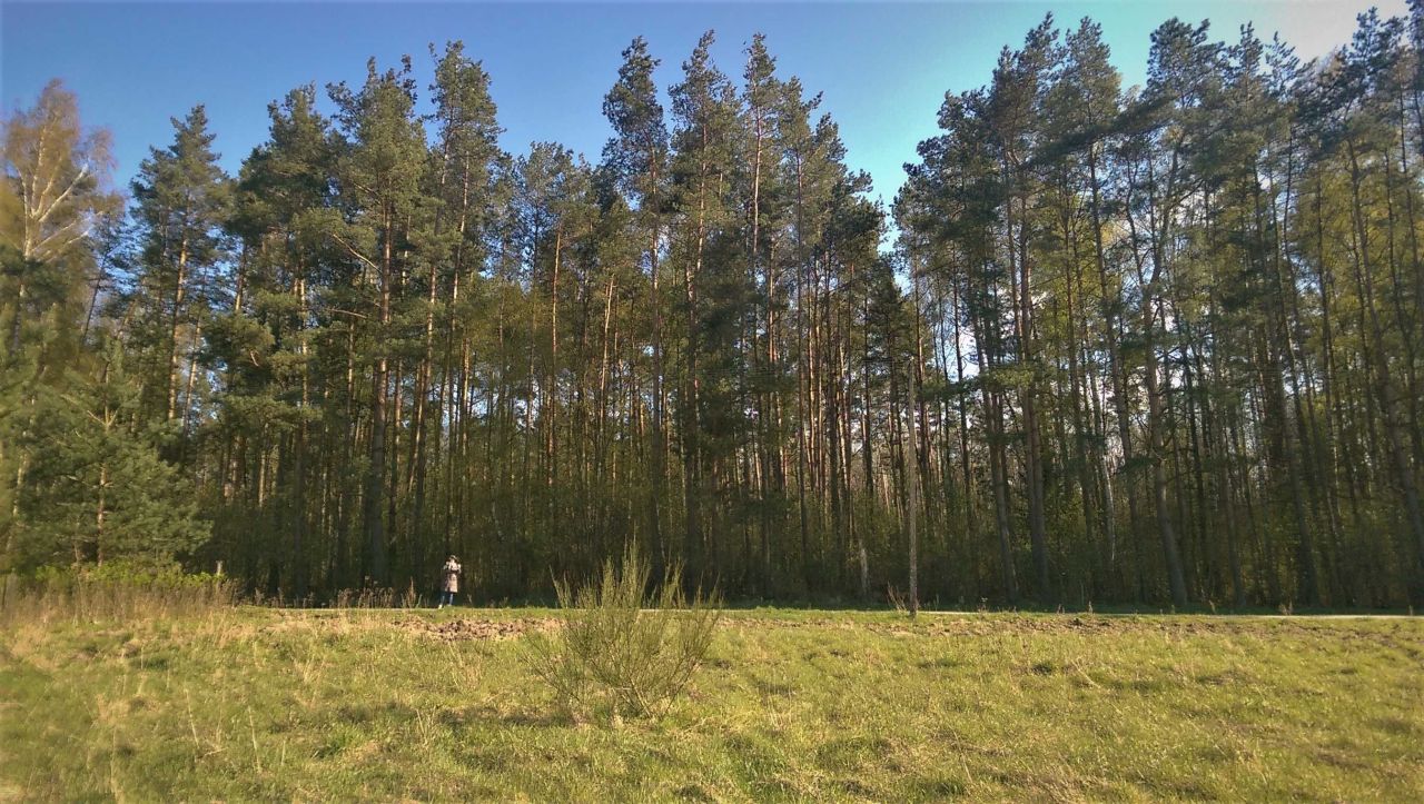 Działka inwestycyjna Budzistowo. Zdjęcie 1