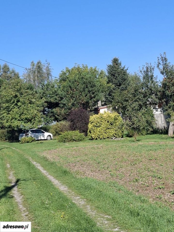 Działka siedliskowa Miłocin. Zdjęcie 5
