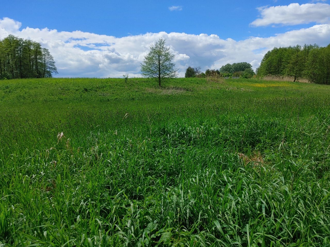 Działka rolna Niemieczkowo. Zdjęcie 7