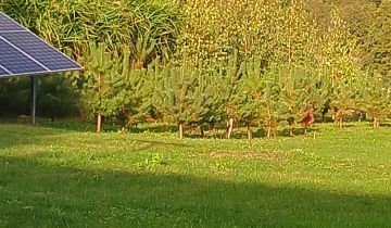 dom wolnostojący, 4 pokoje Węgiersk