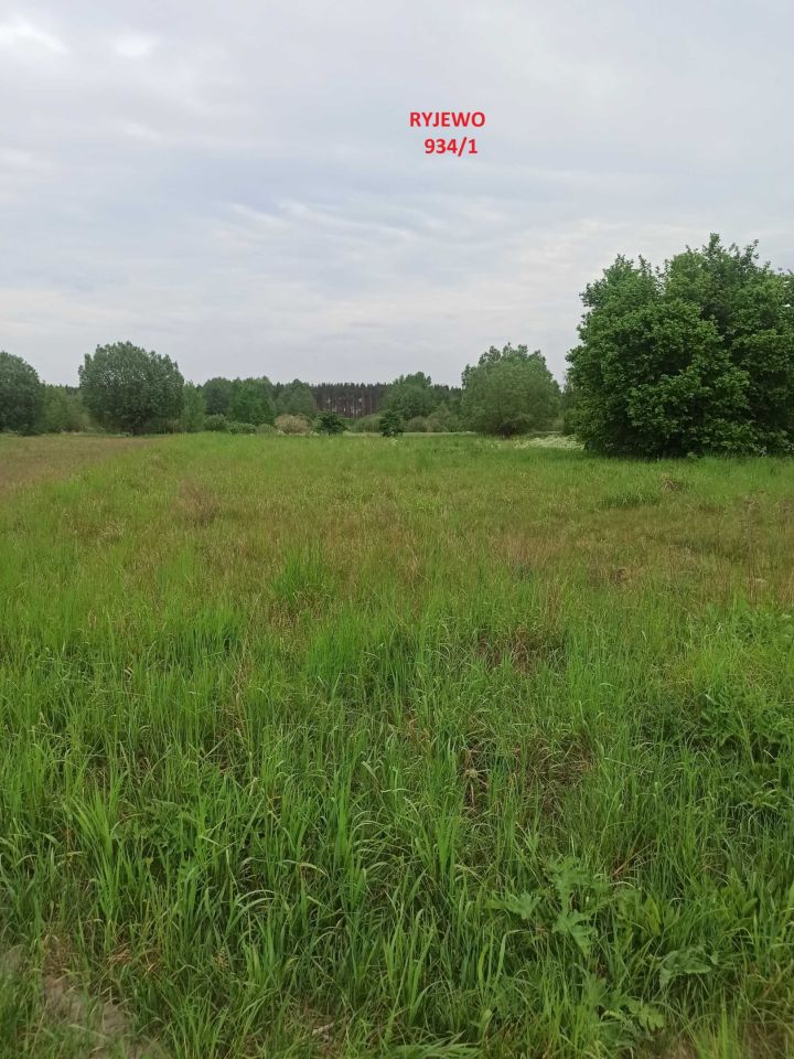 Działka budowlana Ryjewo, ul. Łąki. Zdjęcie 3
