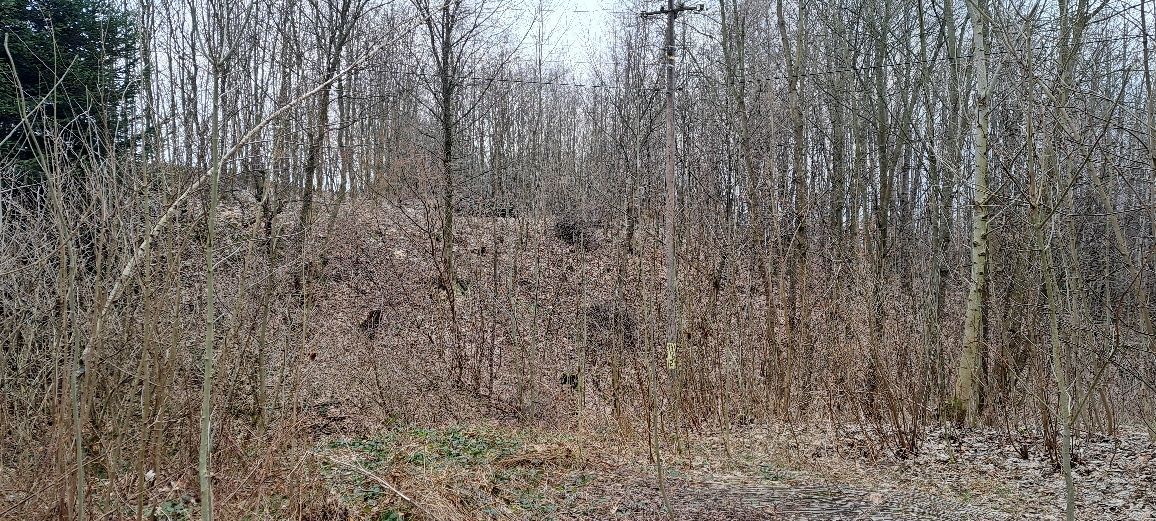 Działka rekreacyjna Hucisko Nienadowskie. Zdjęcie 2