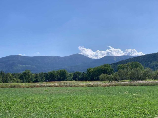 Działka inwestycyjna Miłków. Zdjęcie 1