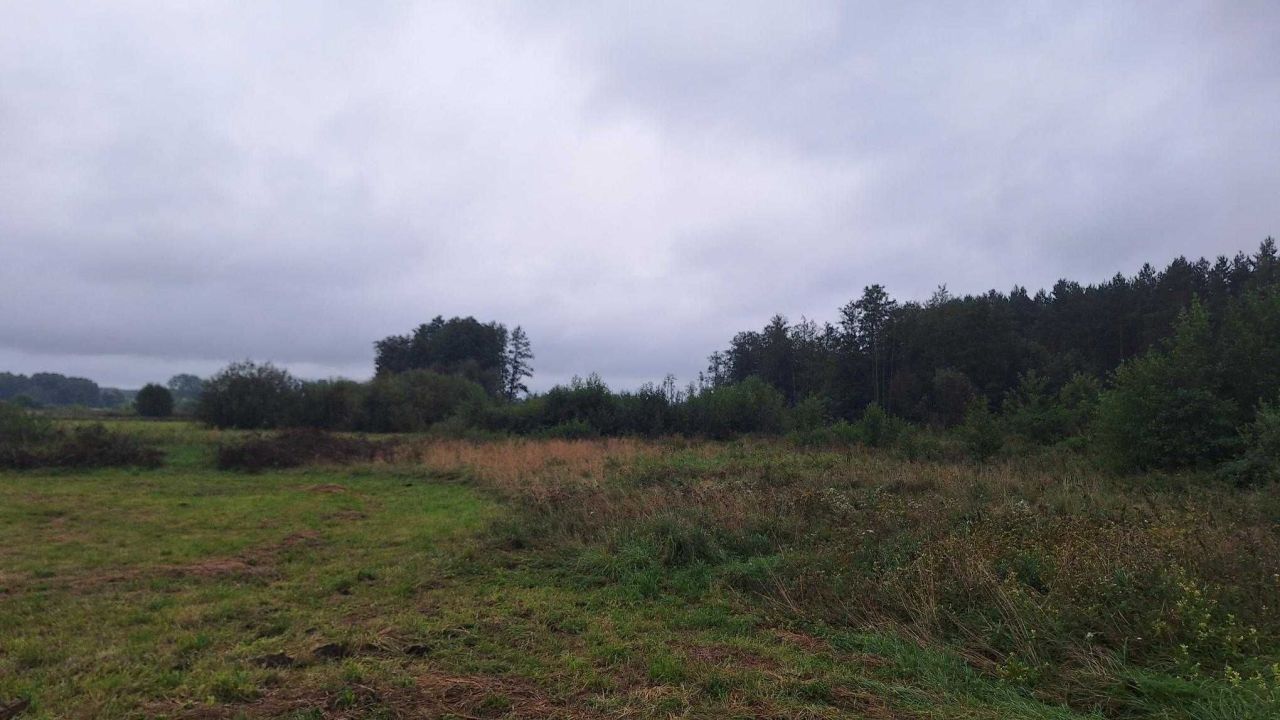 Działka rolna Chotum. Zdjęcie 5