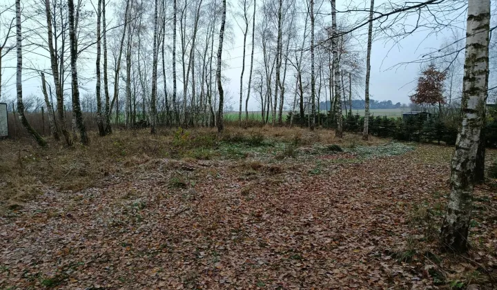 Działka budowlana Parlino