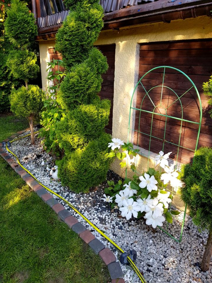 Działka rod Wierzchucinek. Zdjęcie 17