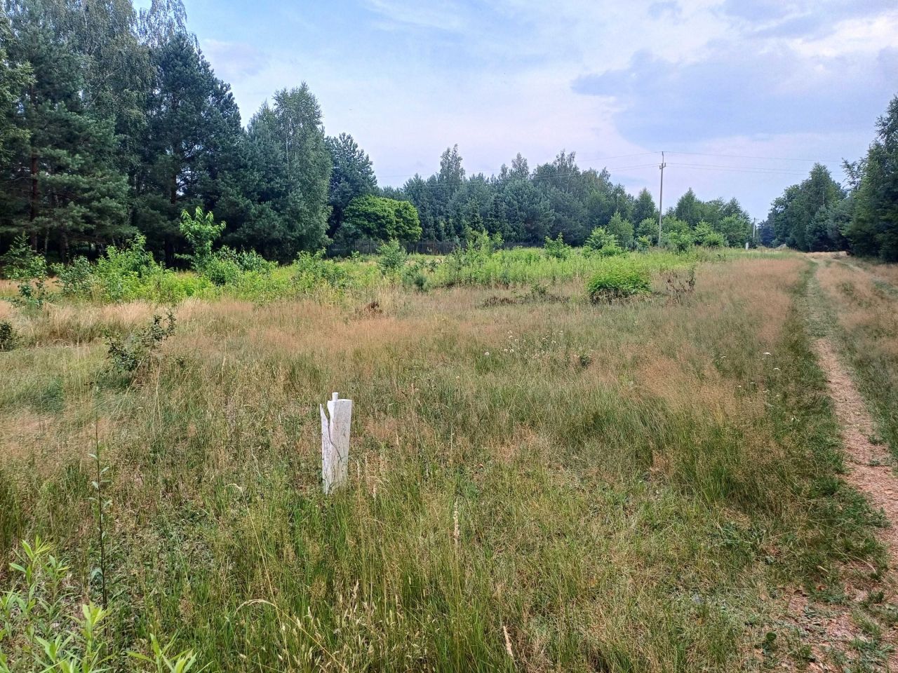 Działka budowlana Szymanówek. Zdjęcie 6