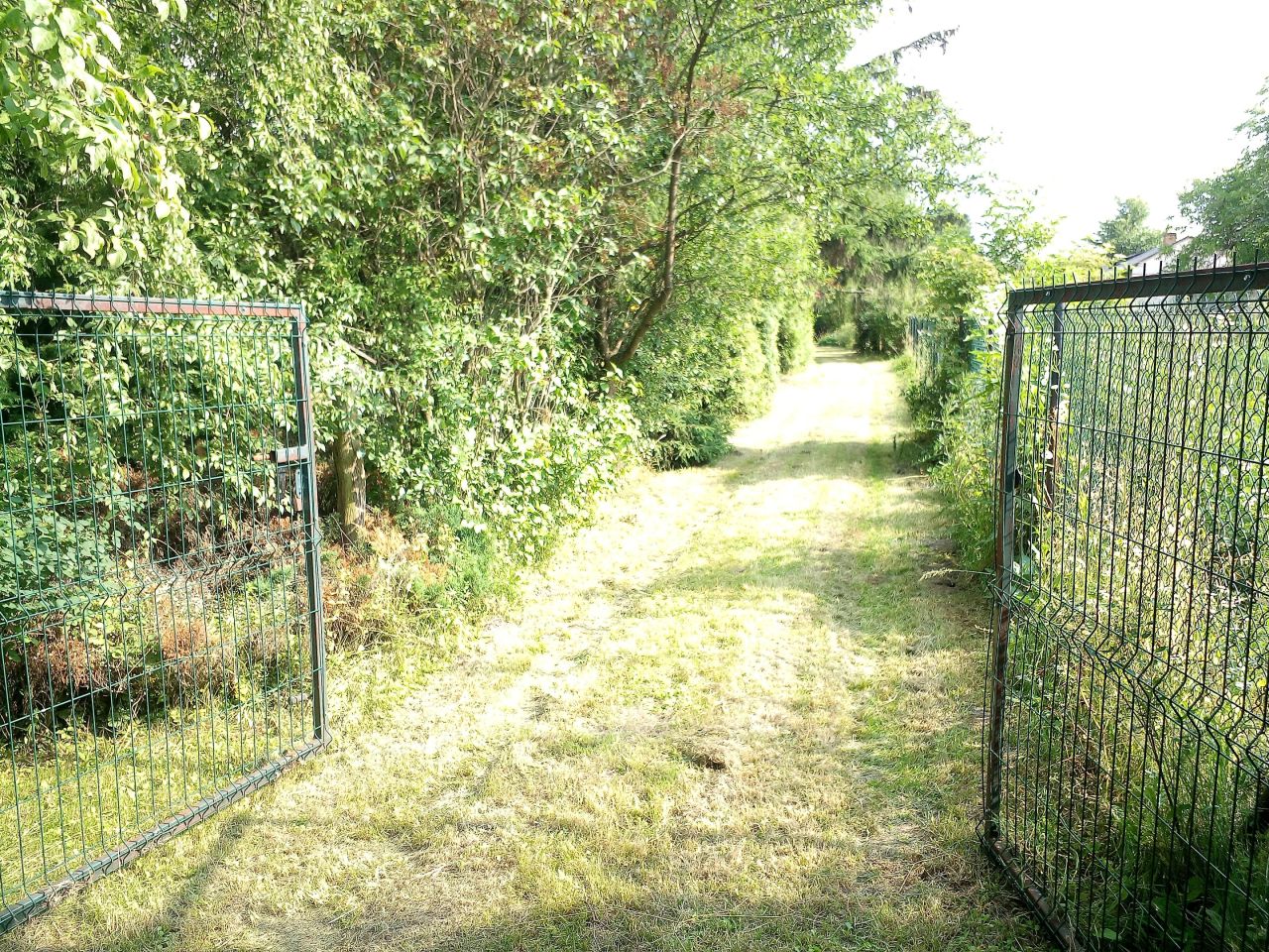 Działka siedliskowa Wolica. Zdjęcie 2