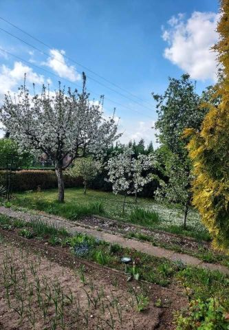 Działka rod Strzelce Opolskie. Zdjęcie 1