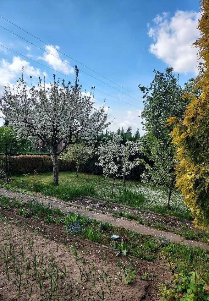 Działka rod Strzelce Opolskie