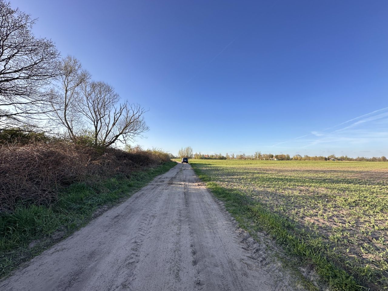 Działka budowlana Gościmiec. Zdjęcie 8