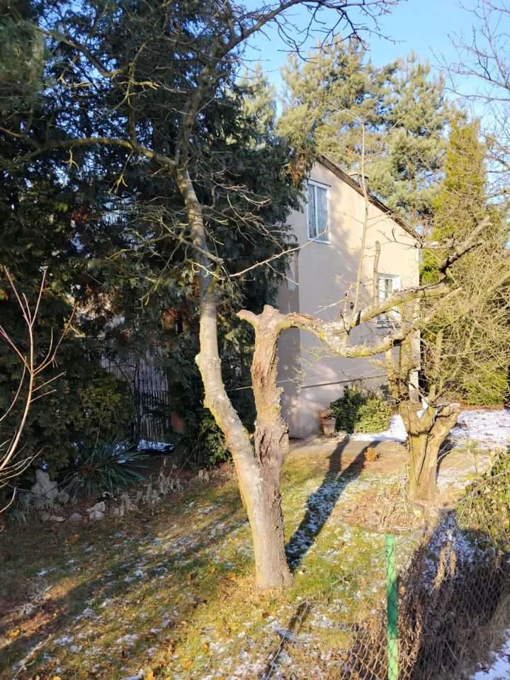 Działka rod Częstochowa Mirów, ul. Mirowska. Zdjęcie 6