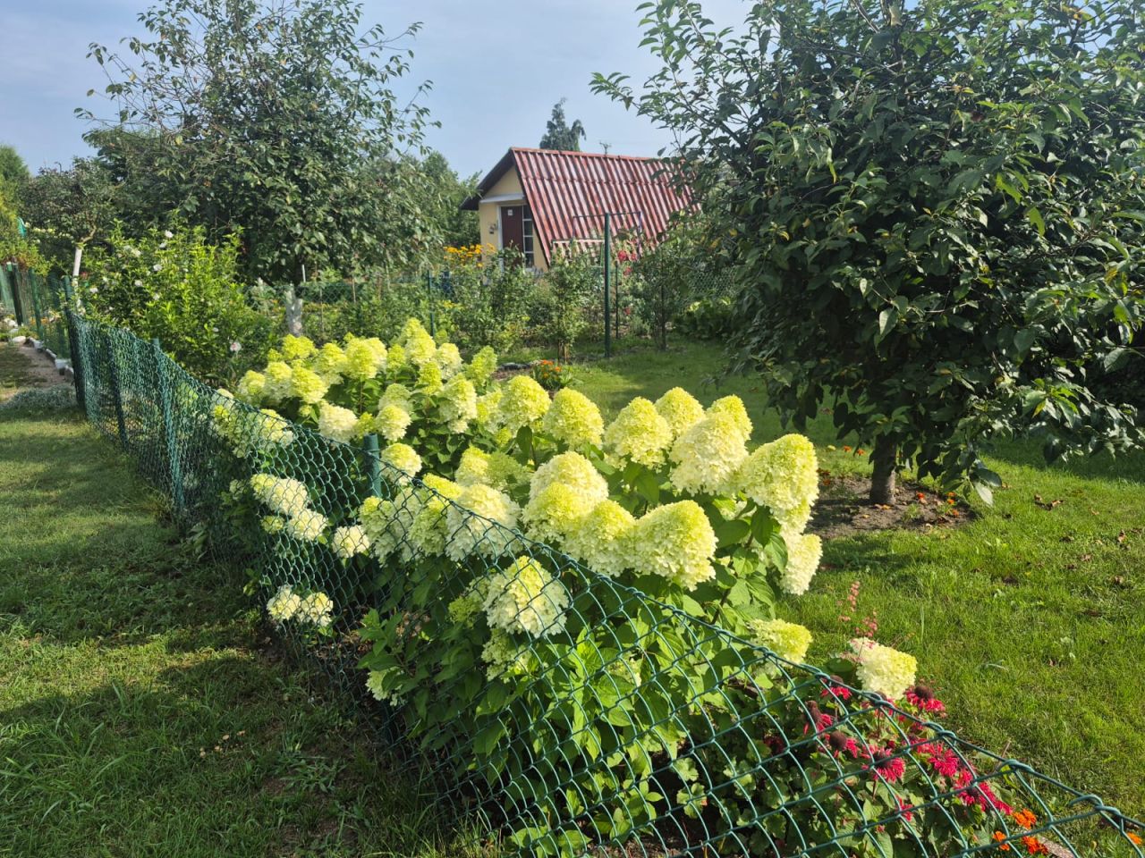 Działka rod Piła Zamość, ul. Wawelska. Zdjęcie 11