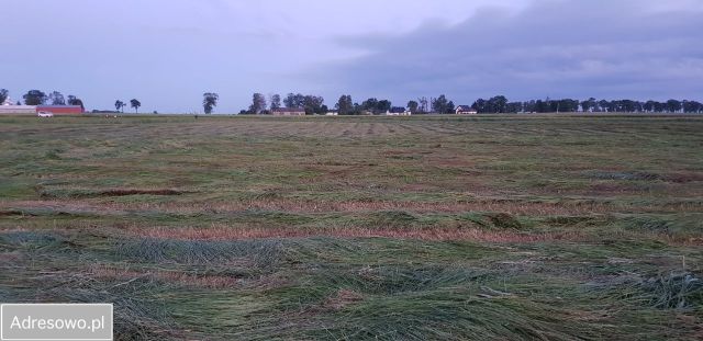 Działka rolna Gostkowo. Zdjęcie 1