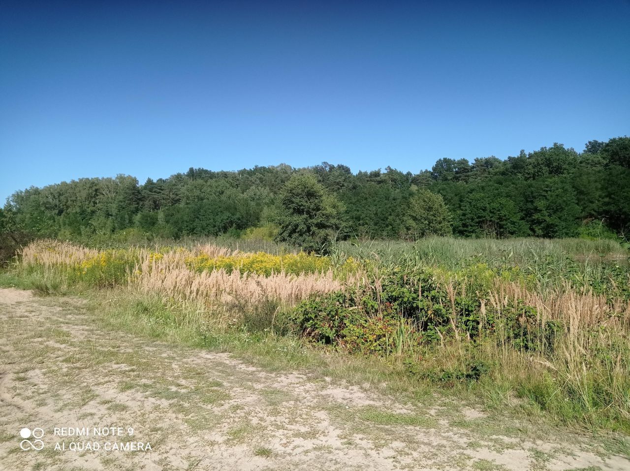 Działka rekreacyjna Ptakowice, ul. Wyzwolenia. Zdjęcie 8