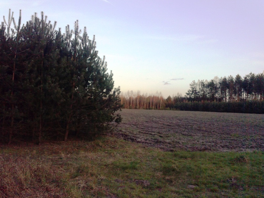 Działka rolno-budowlana Borowiny. Zdjęcie 5