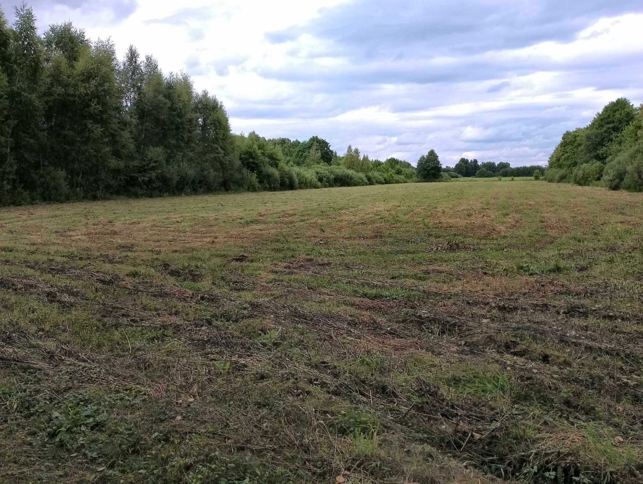 Działka rolna Tartak. Zdjęcie 6