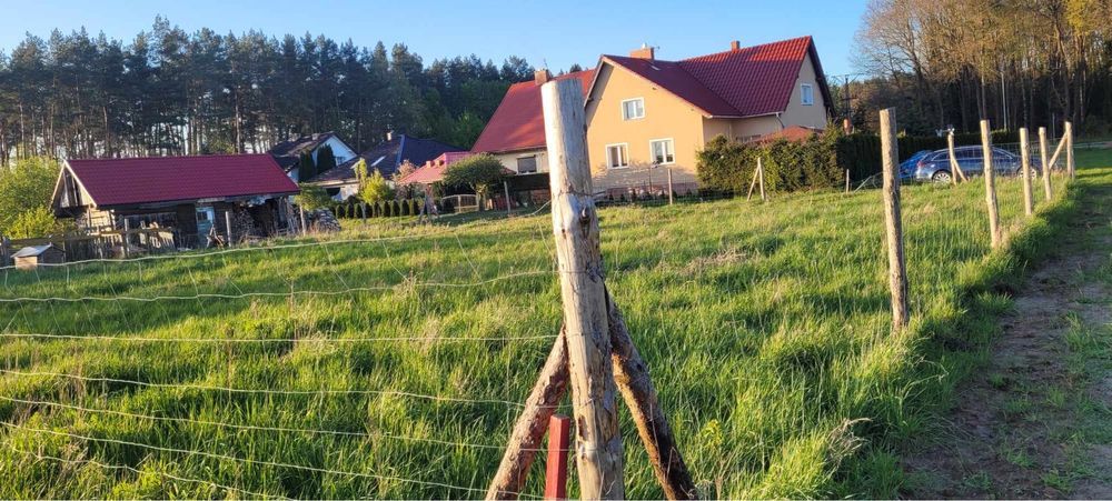 Działka budowlana Świerzno. Zdjęcie 4