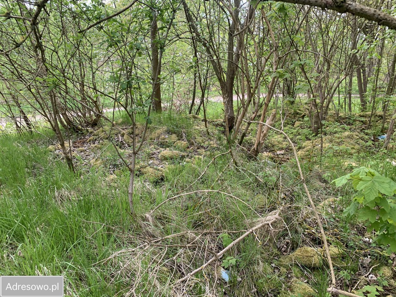 Działka budowlana Miałka. Zdjęcie 9