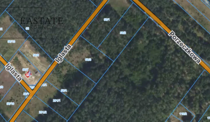 Działka budowlana Badowo-Dańki, ul. Porzeczkowa