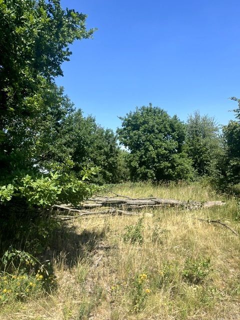 Działka rolno-budowlana Retniowiec. Zdjęcie 9