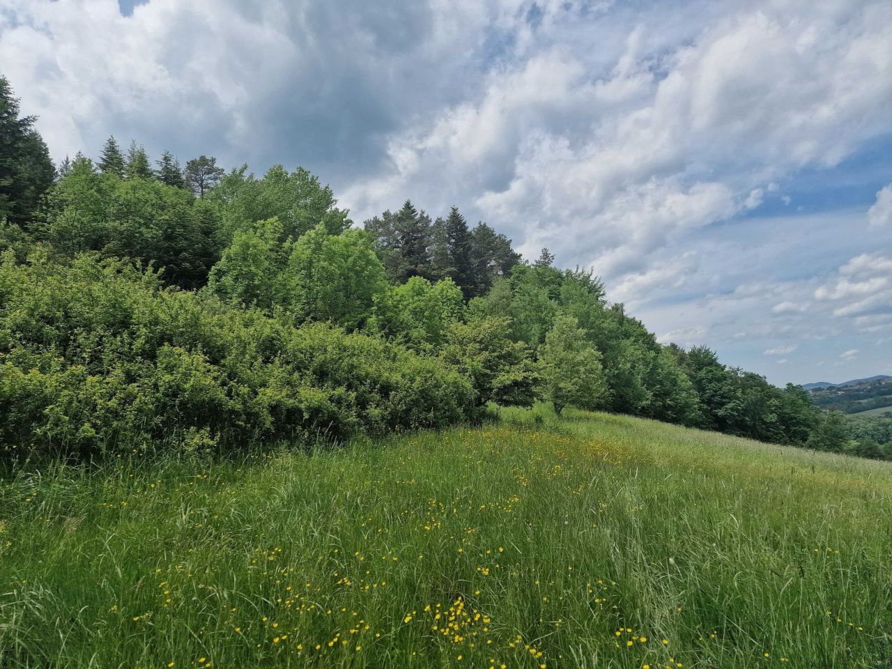 Działka budowlana Chodorowa. Zdjęcie 6