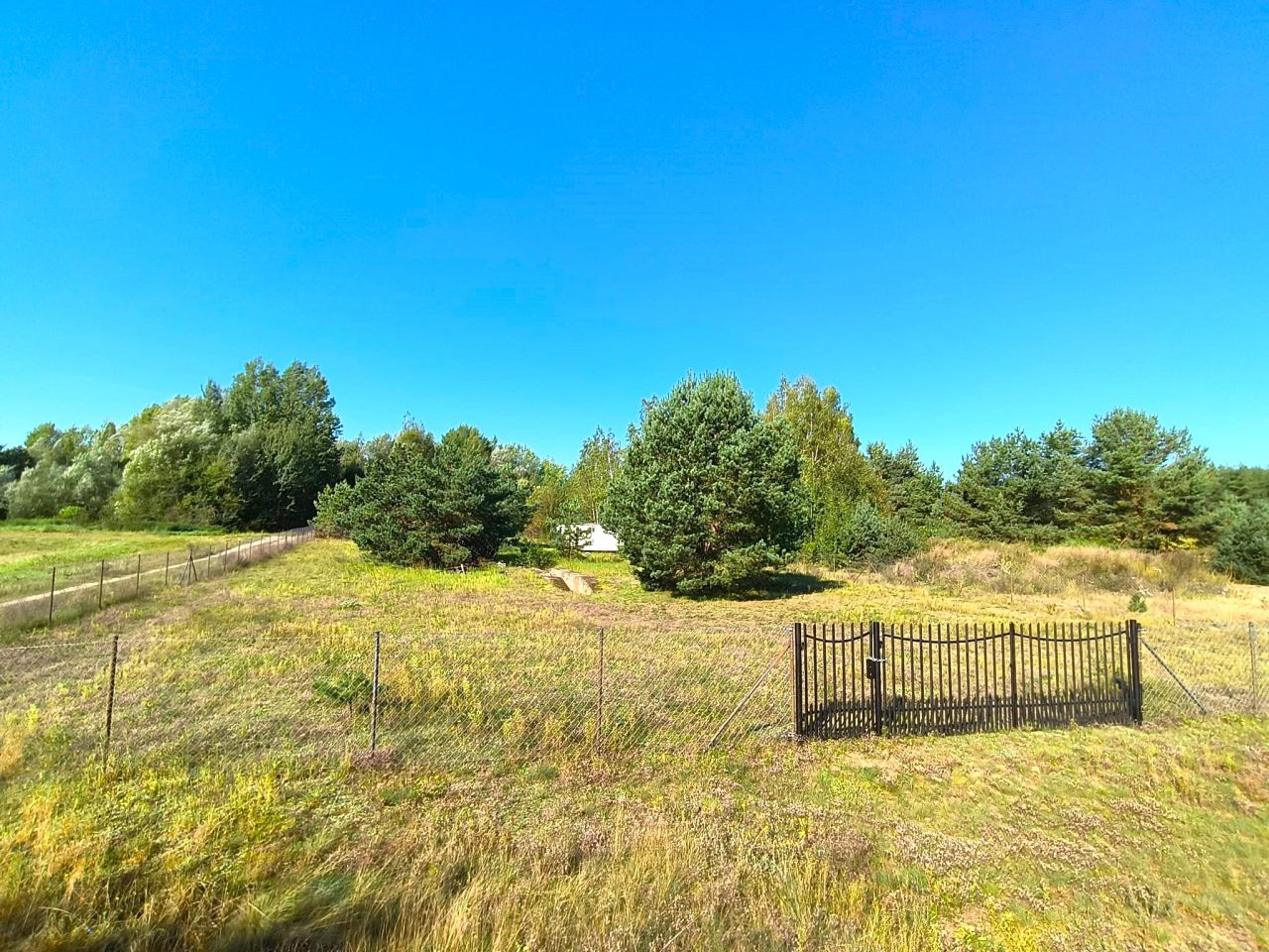 Działka siedliskowa Pełty. Zdjęcie 2