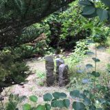 Działka rod Wrocław Stare Miasto, ul. Góralska. Zdjęcie 3