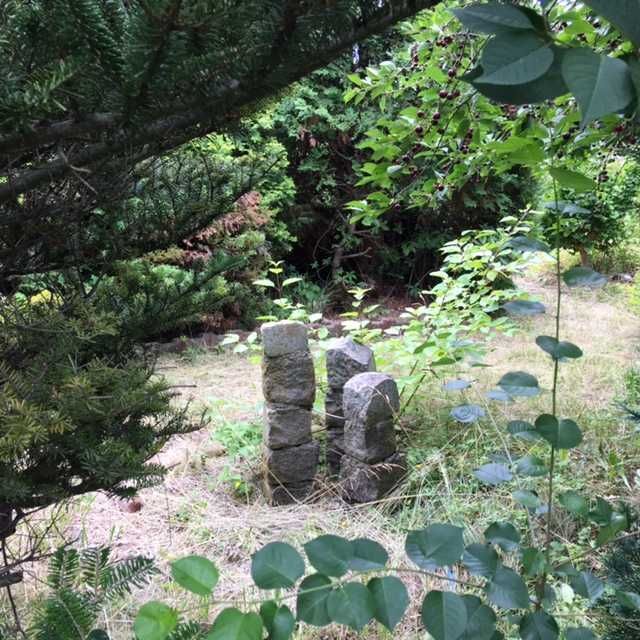 Działka rod Wrocław Stare Miasto, ul. Góralska. Zdjęcie 4