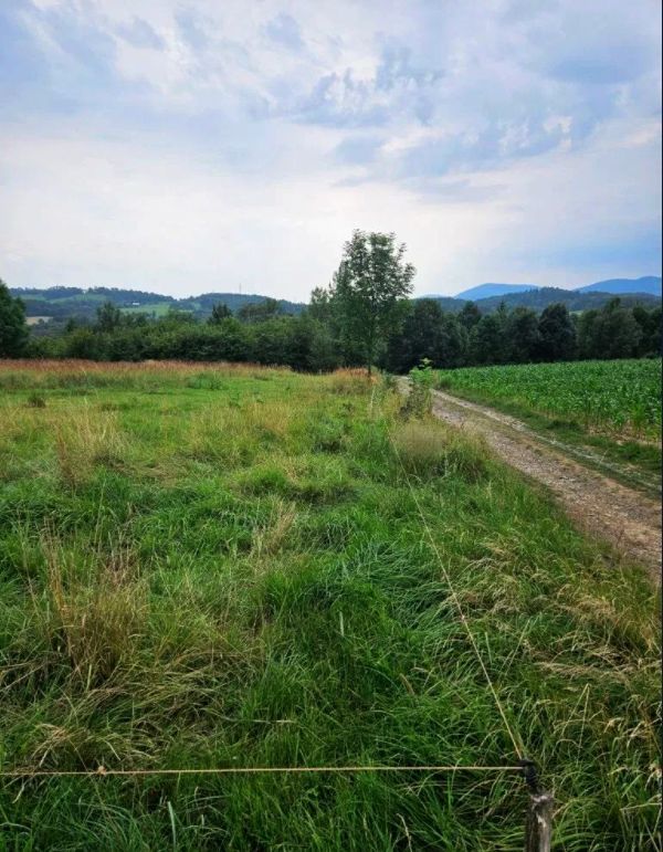 Działka rolna Cieszyn, Puńców. Zdjęcie 4