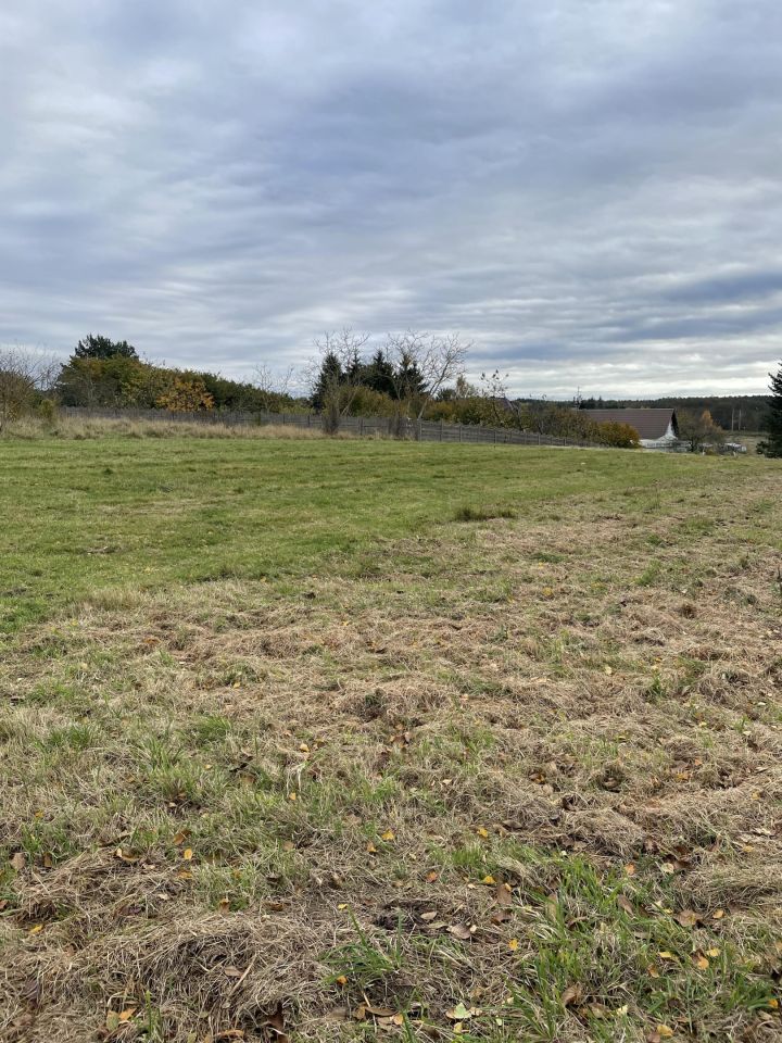 Działka rolna Warnowo. Zdjęcie 6