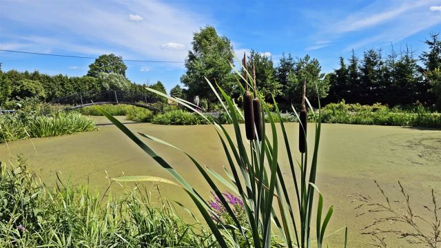 dom wolnostojący, 4 pokoje Grodzisko. Zdjęcie 17