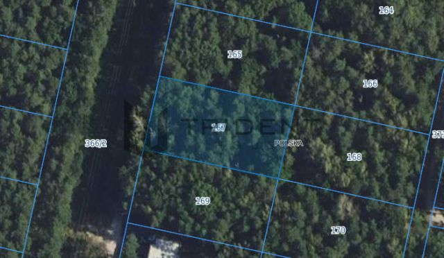 Działka budowlana Sękocin-Las. Zdjęcie 2