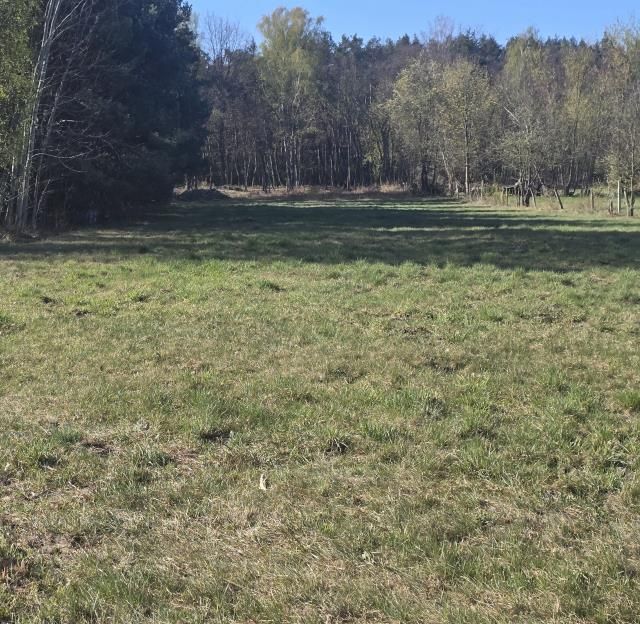 Działka budowlana Wołomin Mironowe Górki. Zdjęcie 5