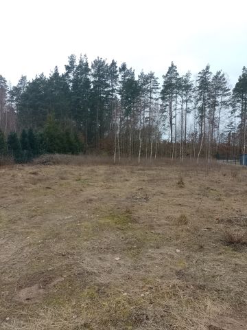 Działka budowlana Dziemiany, Kardynała Stefana Wyszyńskiego. Zdjęcie 1