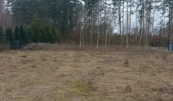 Działka budowlana Dziemiany, Kardynała Stefana Wyszyńskiego